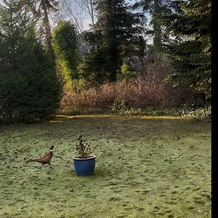 Idyllic Overlooking Svanninge Hills